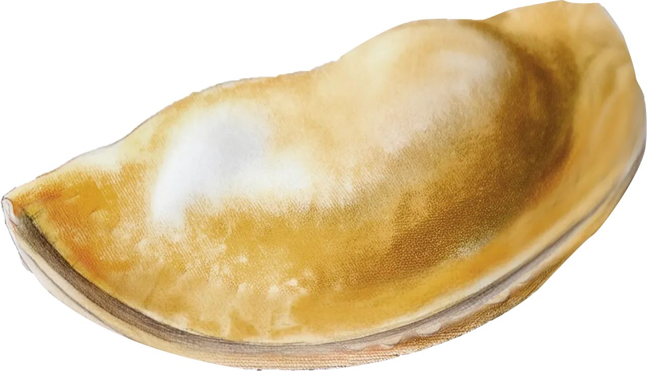 Mimmo Raviolo